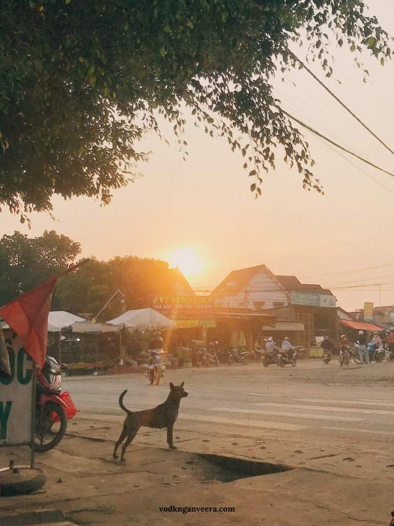 Du lịch thiện nguyện Đắk Nông Color Tour hoạt động tình nguyện bền vững sustainability travel Vietnam